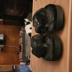 Black Koolaburra by Ugg 10 Slipper